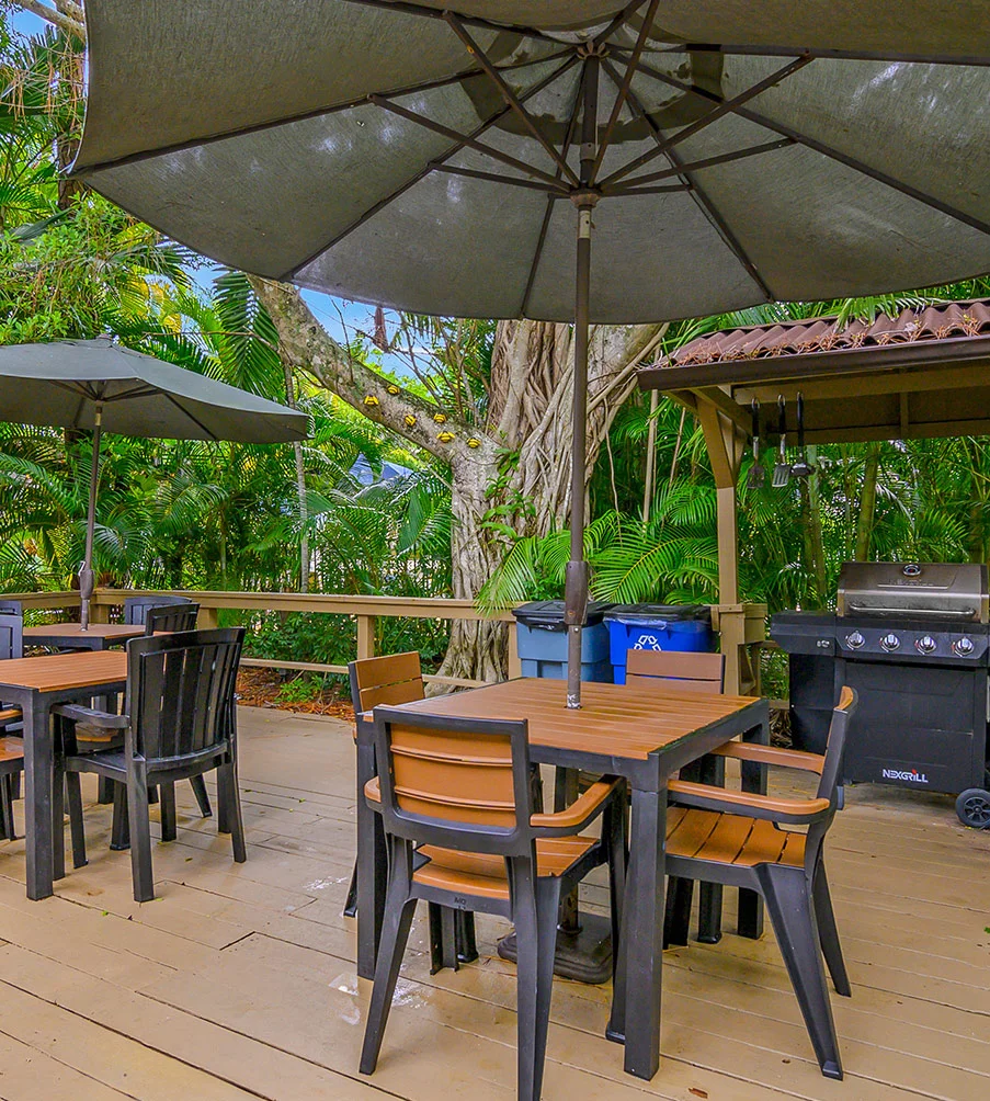 Tropical Garden BBQ Area