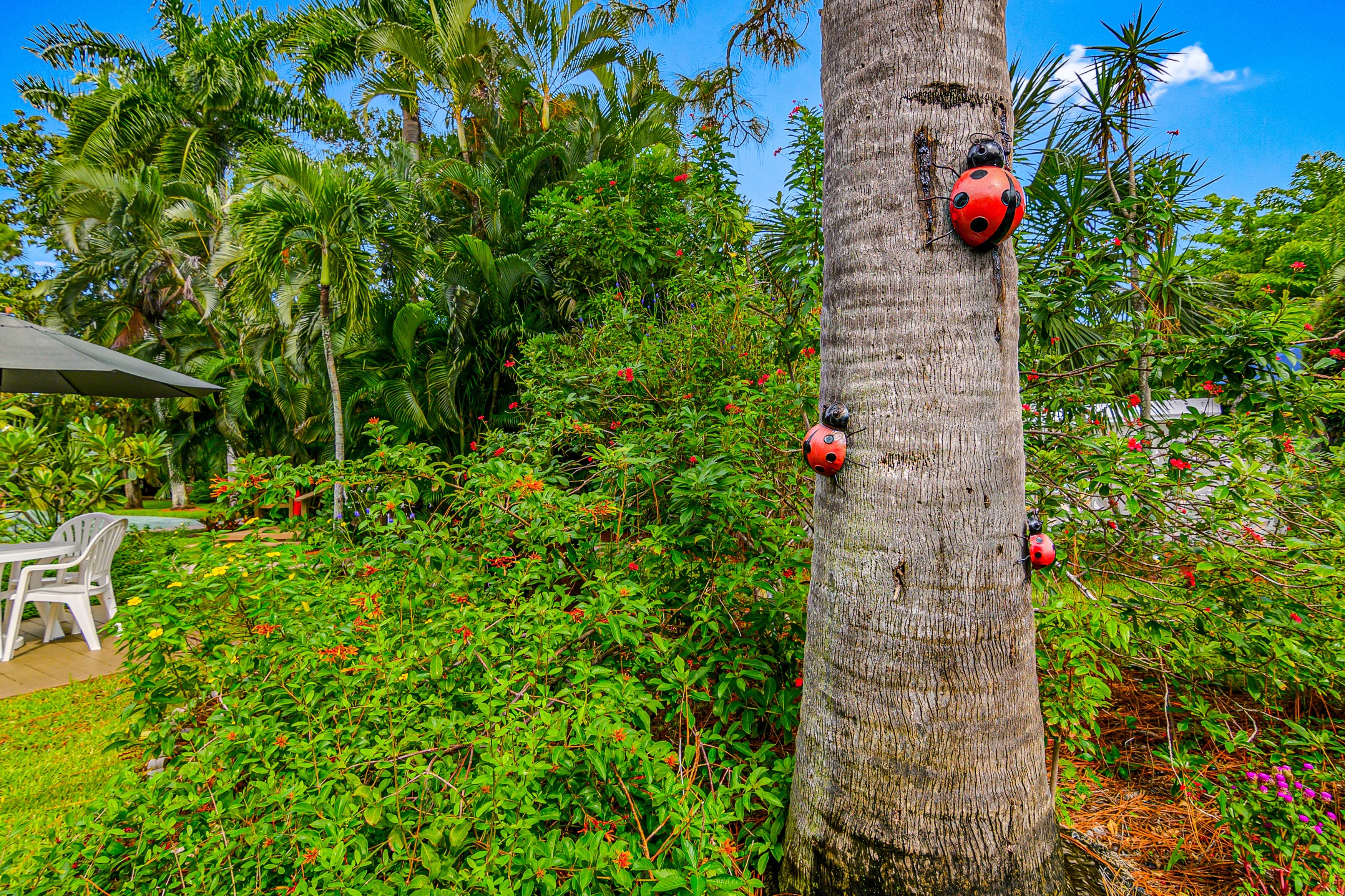 Tropical Garden Tree with Decorative Ladybugs