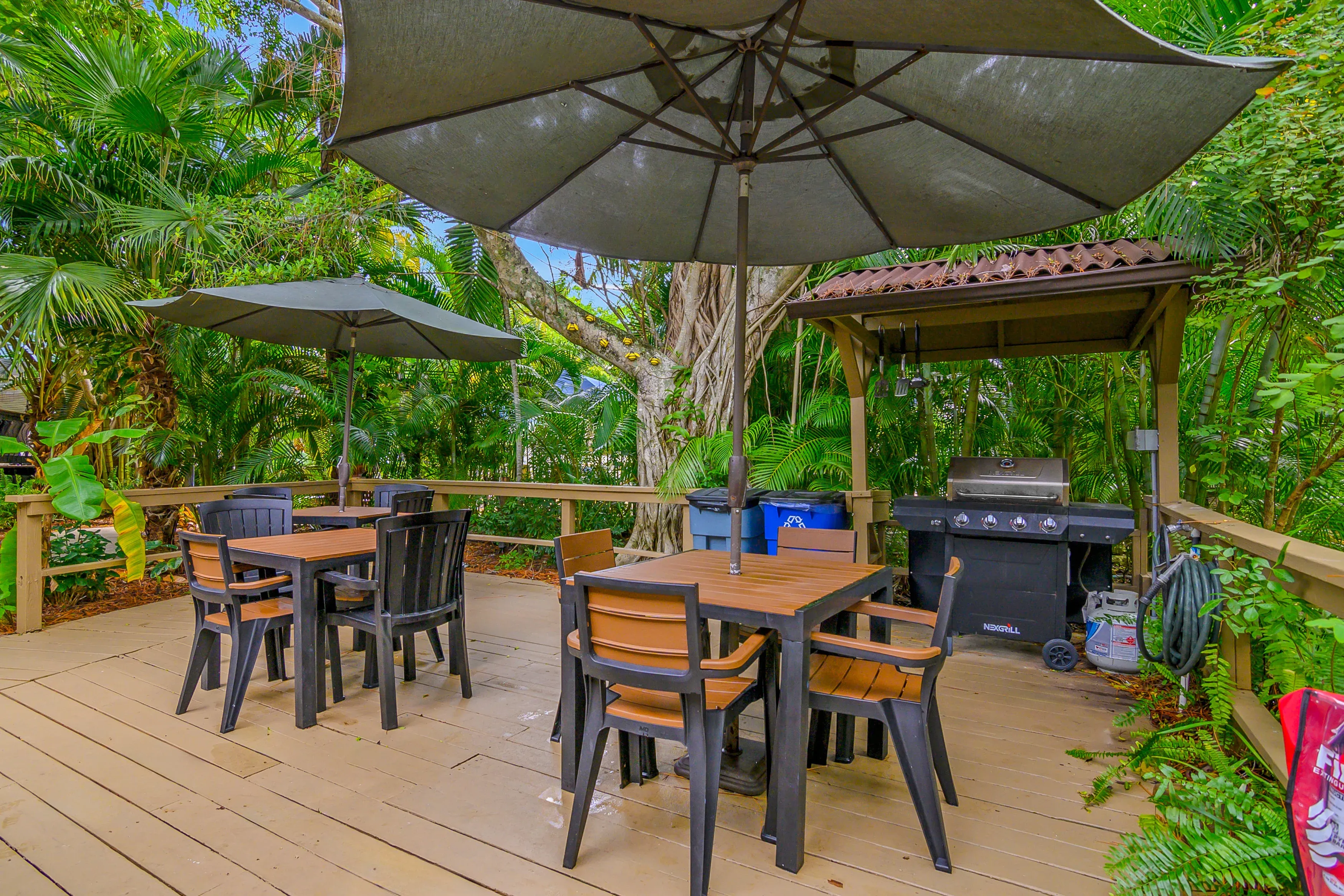 Tropical Garden BBQ Area