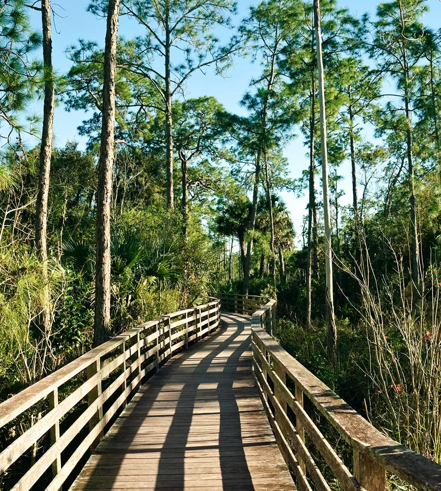 Corkscrew Swamp Sanctuary